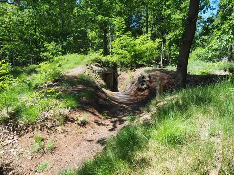 Mastenbos in de Loopgravenpad