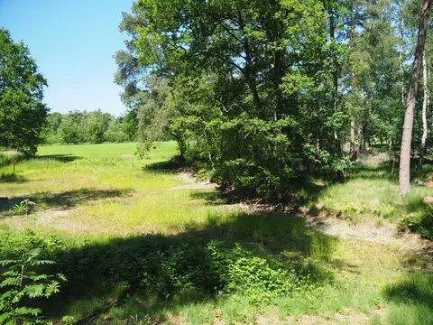 Mastenbos in de Loopgravenpad