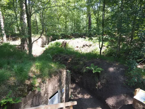 Mastenbos in de Loopgravenpad