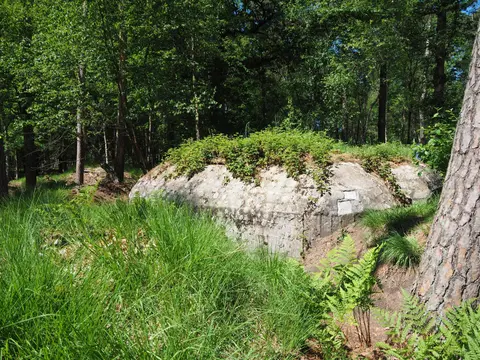 Mastenbos in de Loopgravenpad