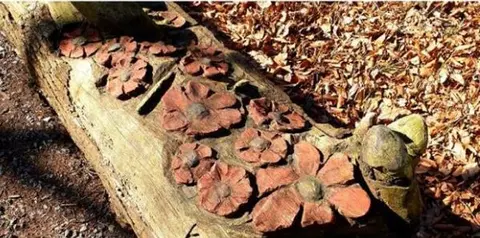 Mastenbos in de Loopgravenpad