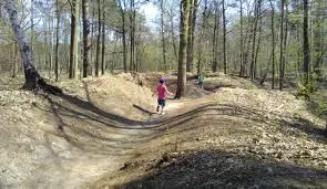 Mastenbos - Natuur en Bos in de Loopgravenpad