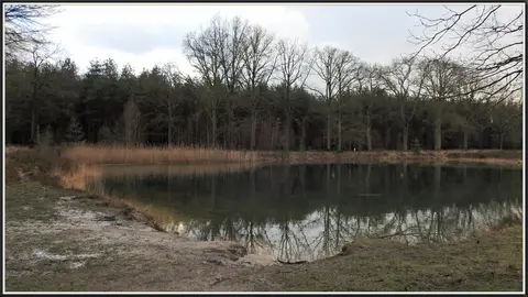 Mastenbos in de Loopgravenpad
