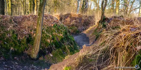 Mastenbos in de Loopgravenpad