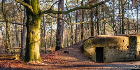 Mastenbos in de Loopgravenpad