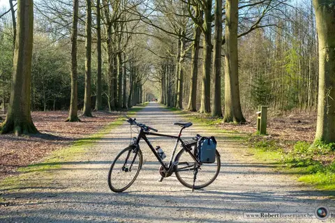 Mastenbos in de Loopgravenpad