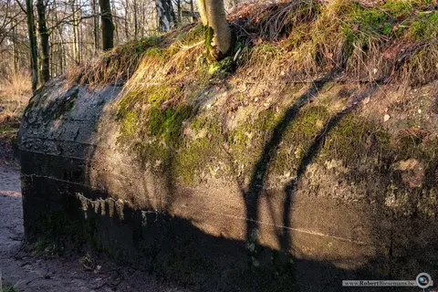 Mastenbos in de Loopgravenpad