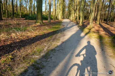 Mastenbos in de Loopgravenpad