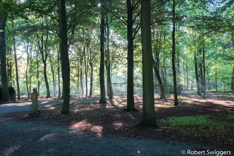 Mastenbos in de Loopgravenpad