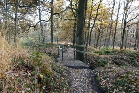 Mastenbos in de Loopgravenpad