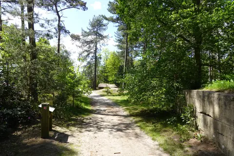Mastenbos in de Loopgravenpad