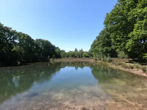 Mastenbos in de Loopgravenpad