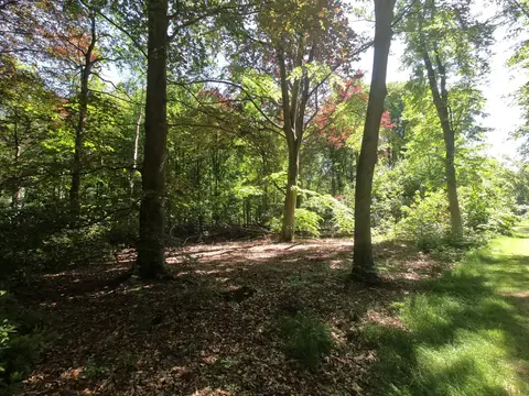 Mastenbos in de Loopgravenpad