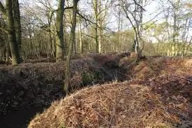Mastenbos 5 in de Loopgravenpad