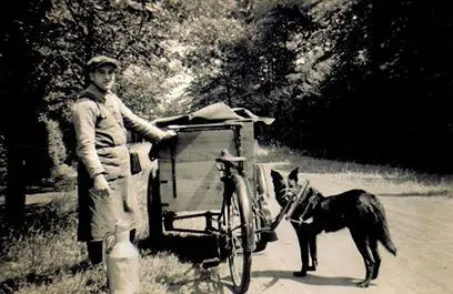 Hondenkar Melkboer Peeters