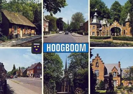 Groeten - Hoogboom Postkaart