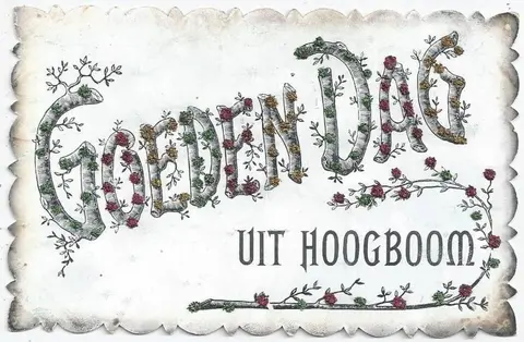 Hoogboom