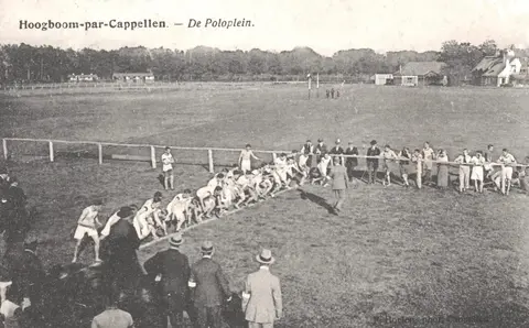 wedstrijd Poloplein - Hoelen