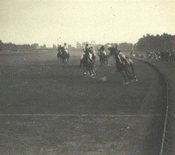 Polowedstrijd 1929 3 (1929)
