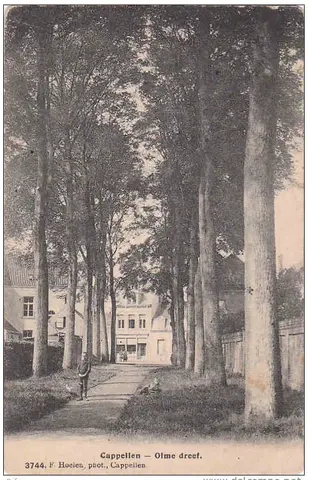 Olmendreef in de Olmendreef