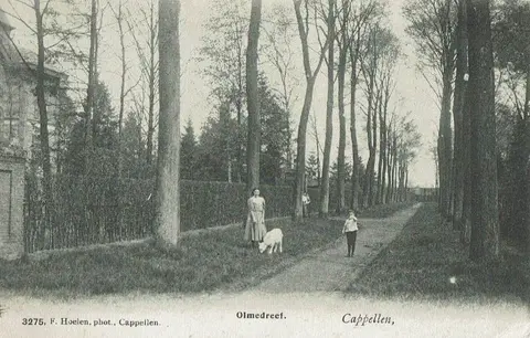 Olmendreef in de Olmendreef