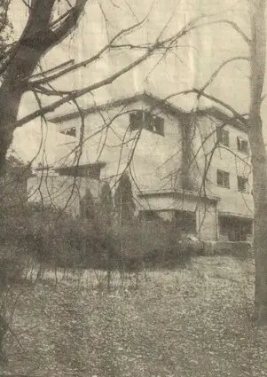 Villa Palmaro 2
