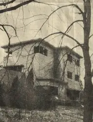 Villa Palmaro 3