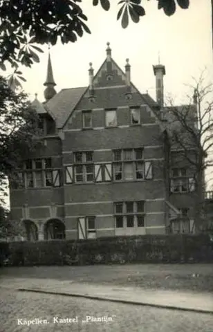 Plantijn