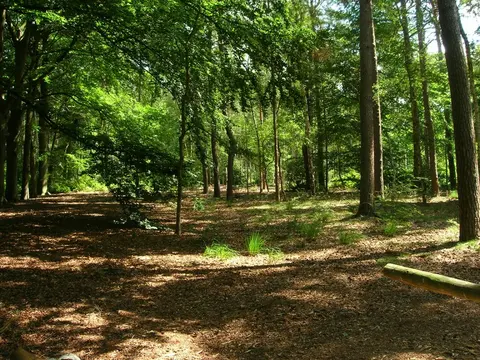 FZ Paepenbos 23