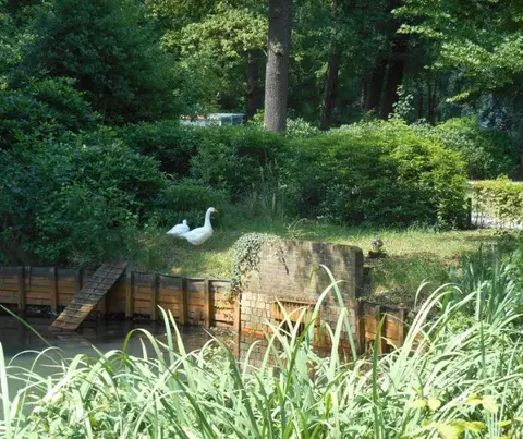 Margon Den Ouden_6