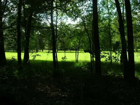 Foto23