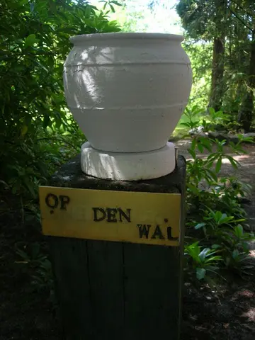 Foto34