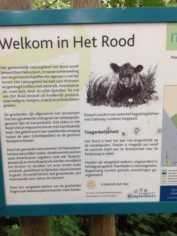 foto Dirk (12)