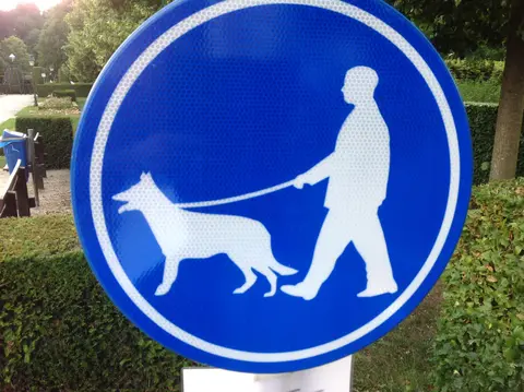 hond