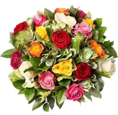 Azalea - Valentijnsboeket 14.02.2017 (2017)